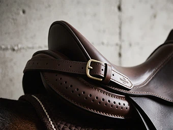 Saddles Saddles